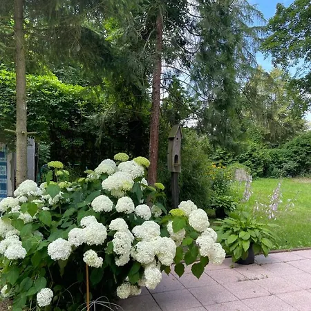 Апартаменты Waldhaeuschen Bei Berlin Eggersdorf (Brandenburg)