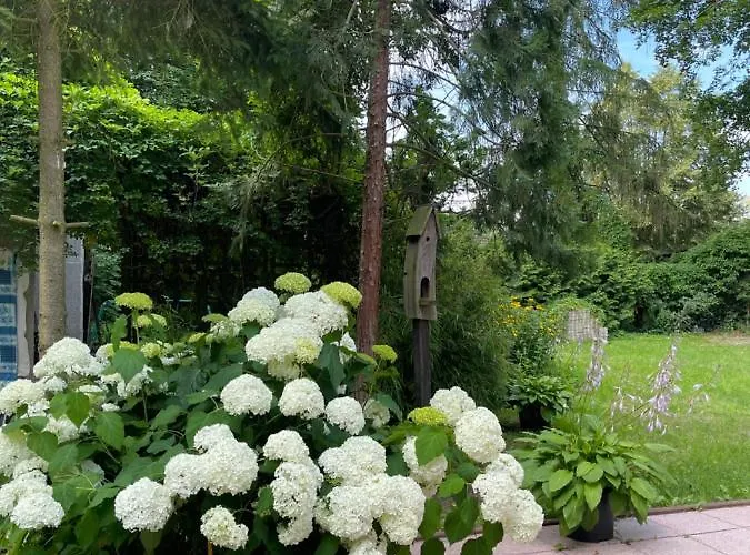 Appartement Waldhaeuschen Bei Berlin Eggersdorf (Brandenburg)