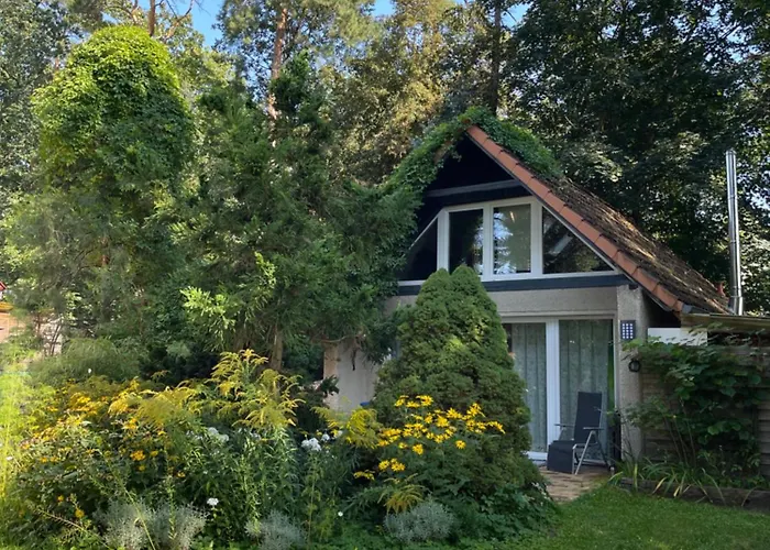 Waldhaeuschen Bei Berlin *