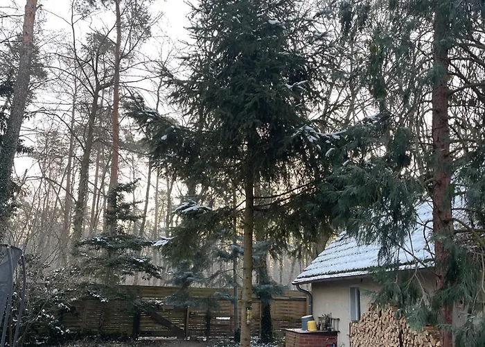 Waldhaeuschen Bei Berlin Eggersdorf (Brandenburg)